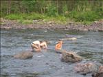 Sweden 2006-07 105